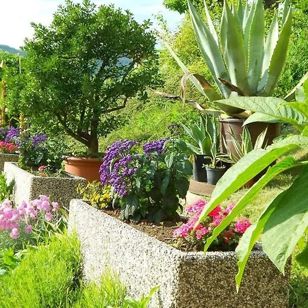 Szálloda Seehotel Vinzenz