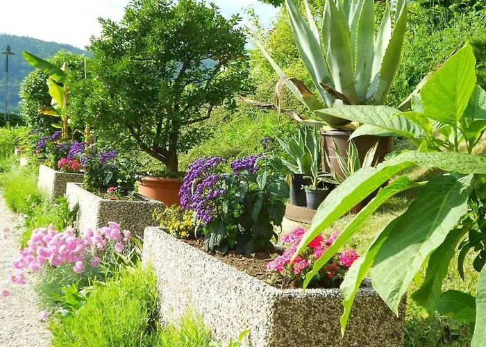 Hotel Seehotel Vinzenz